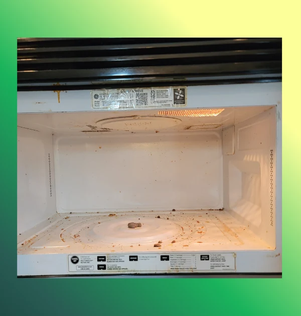 Microwave cleaning before cleaning
